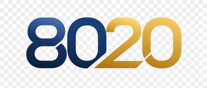 8020 online gaming platform logo
